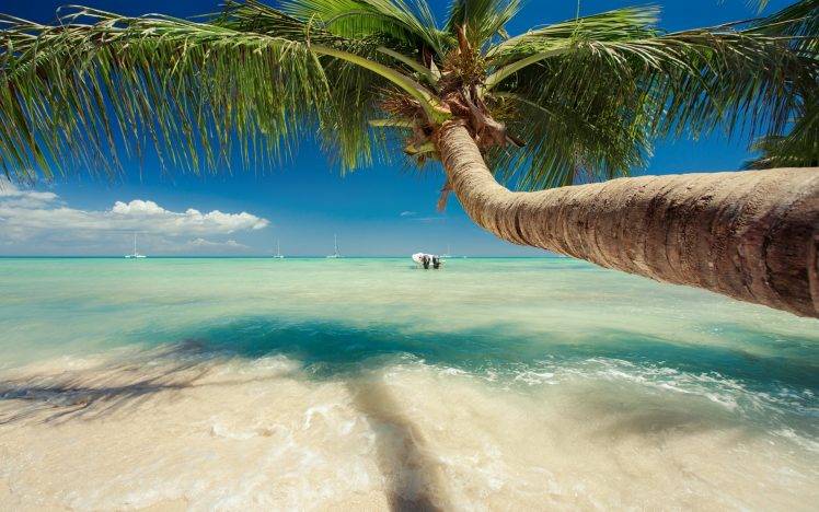 nature, Landscape, Caribbean, Sea, Palm Trees, Beach, Tropical, Summer, Sailboats, Water HD Wallpaper Desktop Background