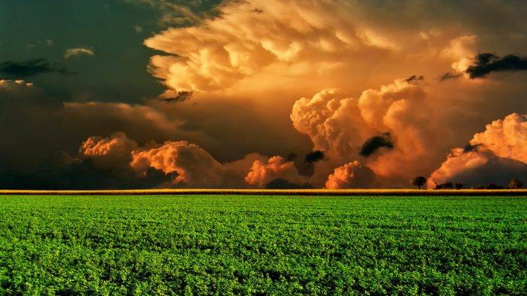 nature, Landscape, Field, Grass, Clouds, Trees, Plants, Horizon, Colorful HD Wallpaper Desktop Background