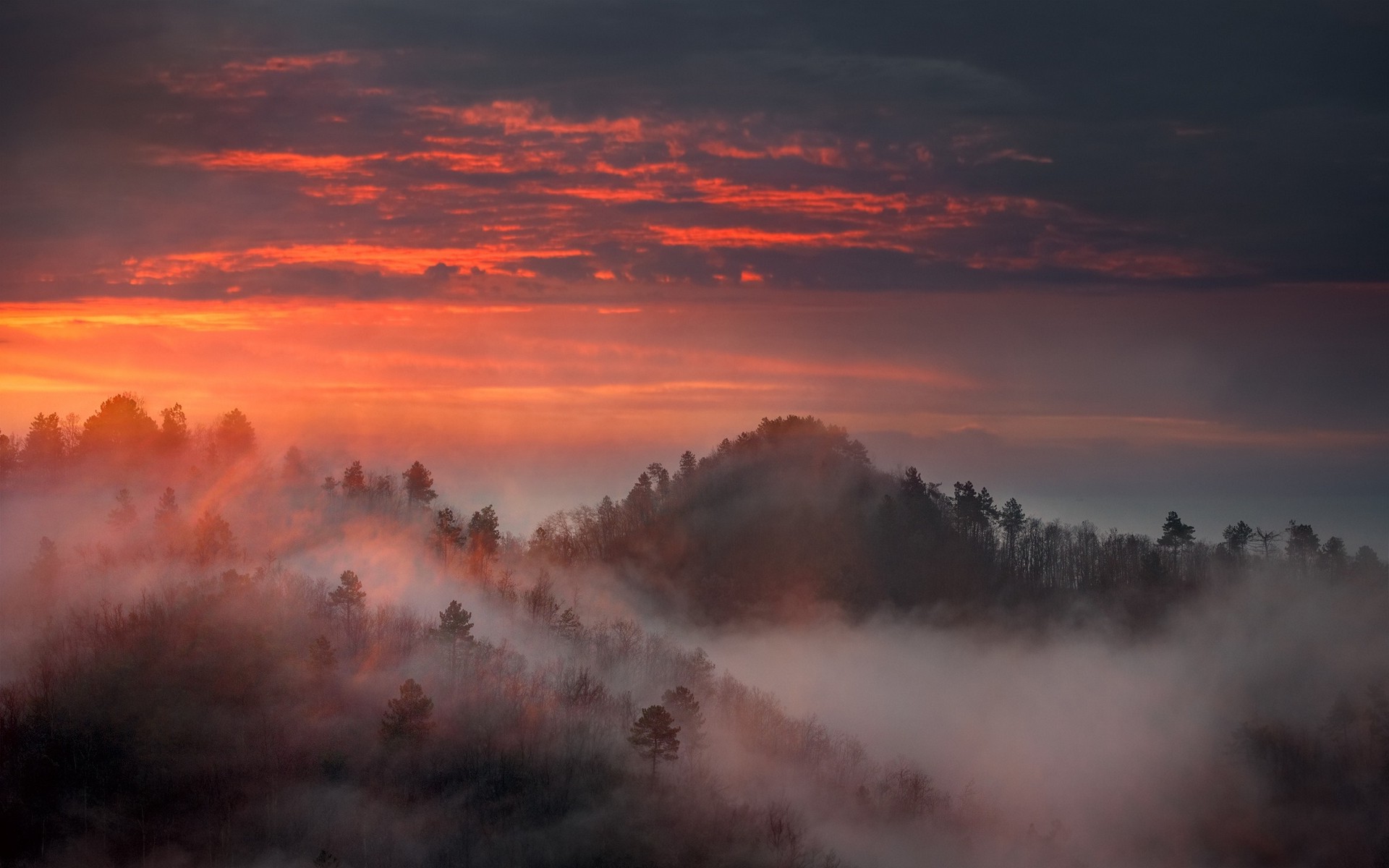 nature, Landscape, Mist, Sunrise, Mountain, Forest, Sky, Trees Wallpaper