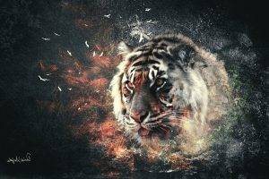 tiger, Digital Art, Abstract