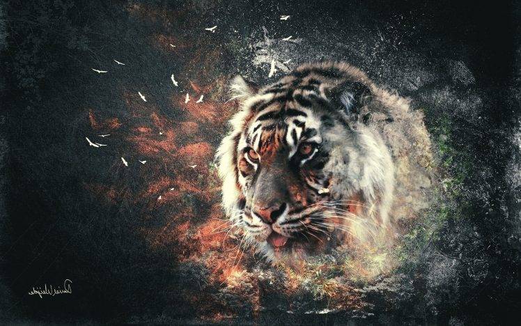 tiger, Digital Art, Abstract HD Wallpaper Desktop Background