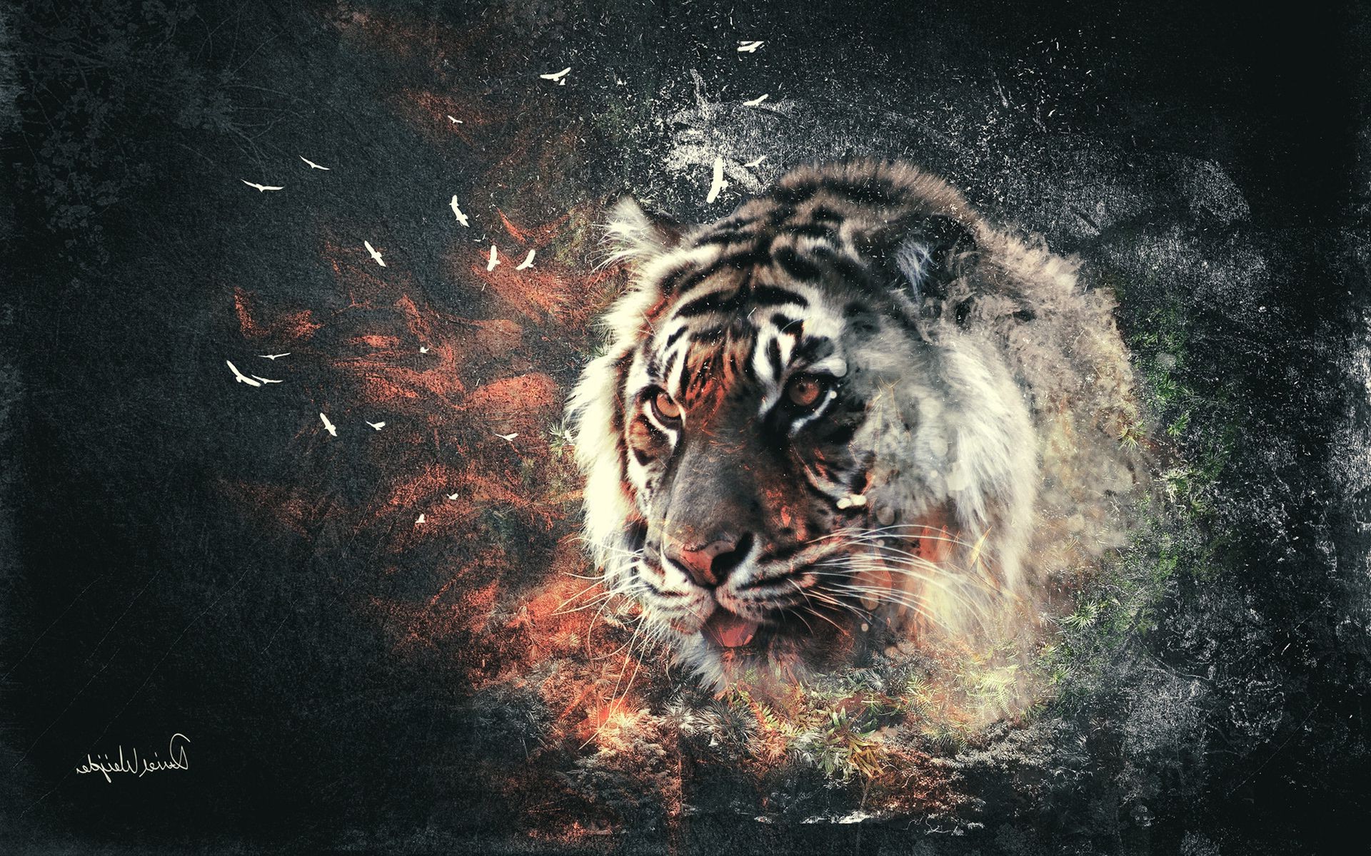 tiger, Digital Art, Abstract Wallpaper