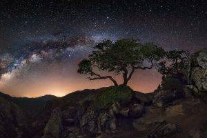 nature, Landscape, Starry Night, Milky Way, Trees, Mountain, Lights, Long Exposure, Space, Rock