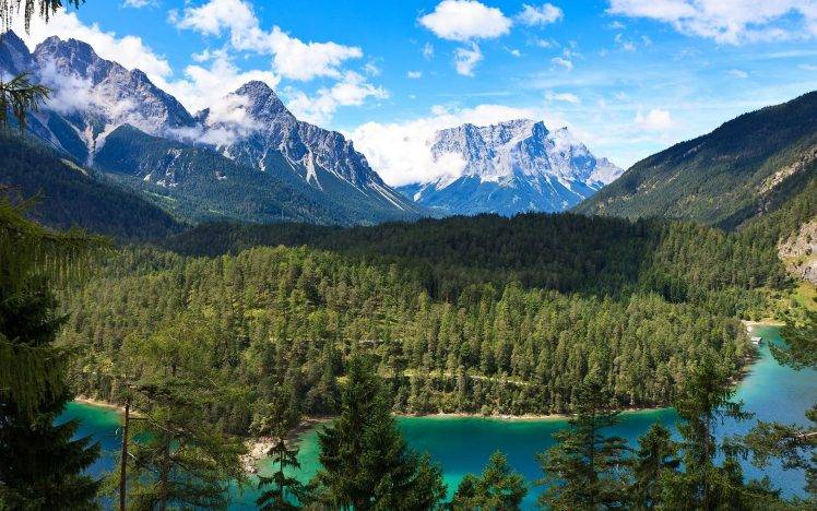 forest, Landscape, Canada HD Wallpaper Desktop Background