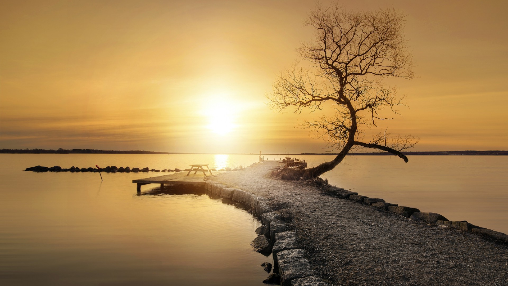 nature, Landscape, Water, Sea, Trees, Path, Pier, Horizon, Calm Wallpaper