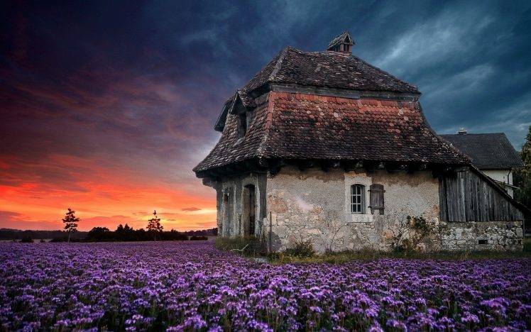 landscape, Nature, Sunset, Farm, House, Old, Sky, Flowers, Lavender, Clouds, Field, Purple, Spring HD Wallpaper Desktop Background