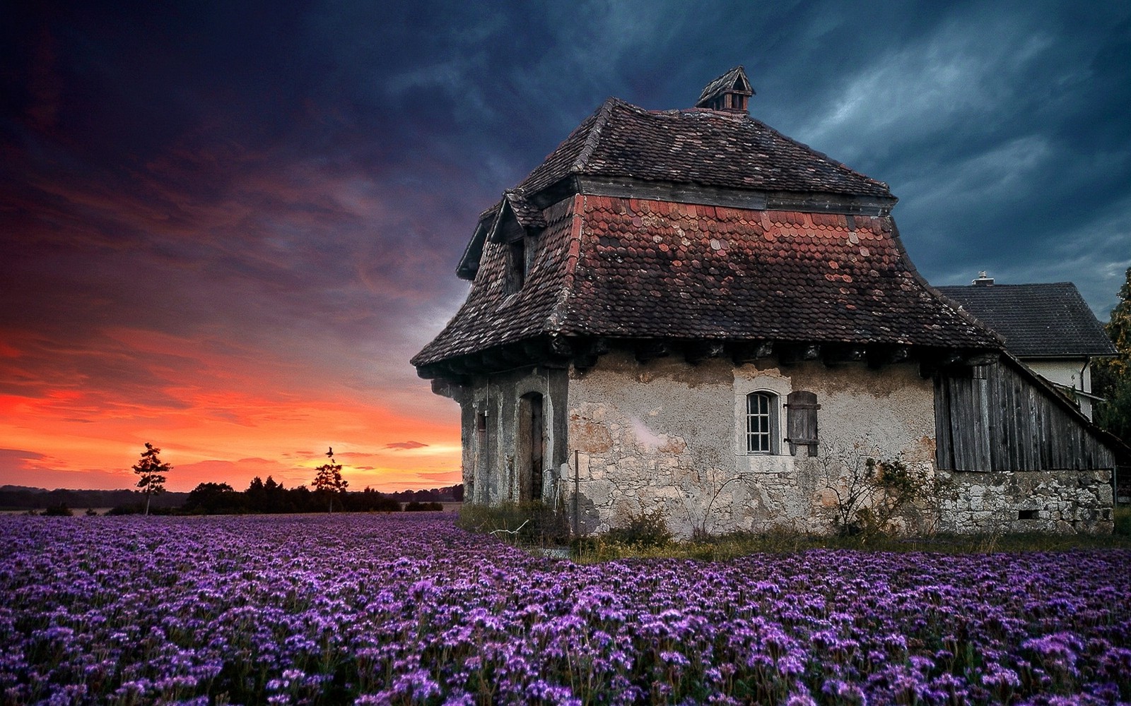 landscape, Nature, Sunset, Farm, House, Old, Sky, Flowers, Lavender, Clouds, Field, Purple, Spring Wallpaper