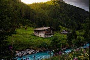 nature, Landscape, River, Cottage, Forest, Alps, Wildflowers, Austria, Mountain, Sunrise, Spring, Trees, Water, Green, Turquoise
