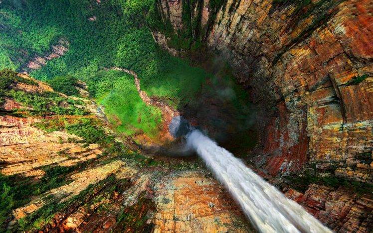 forest, Cliff, Water, Nature, Mountain, Waterfall, Landscape, Hill, Angel Falls HD Wallpaper Desktop Background
