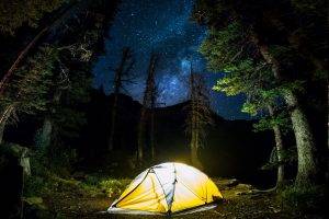 nature, Landscape, Camping, Forest, Starry Night, Milky Way, Trees, Long Exposure, Lights, Shrubs, Blue, Yellow
