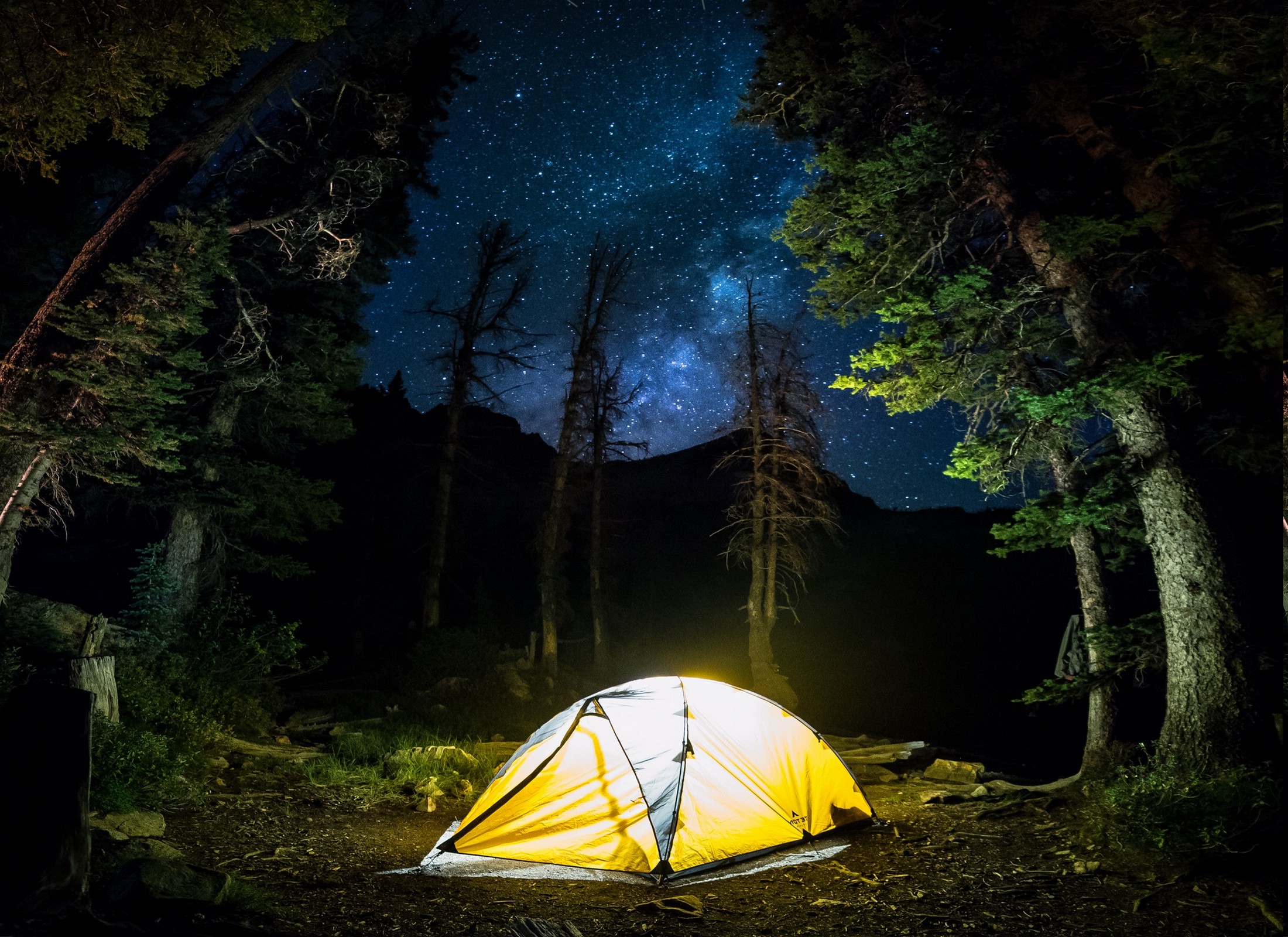 nature, Landscape, Camping, Forest, Starry Night, Milky Way, Trees, Long Exposure, Lights, Shrubs, Blue, Yellow Wallpaper