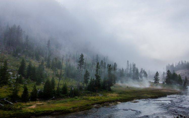 landscape, Nature, Yellowstone National Park, Forest, River, Mist, Mountain, Trees, Grass HD Wallpaper Desktop Background