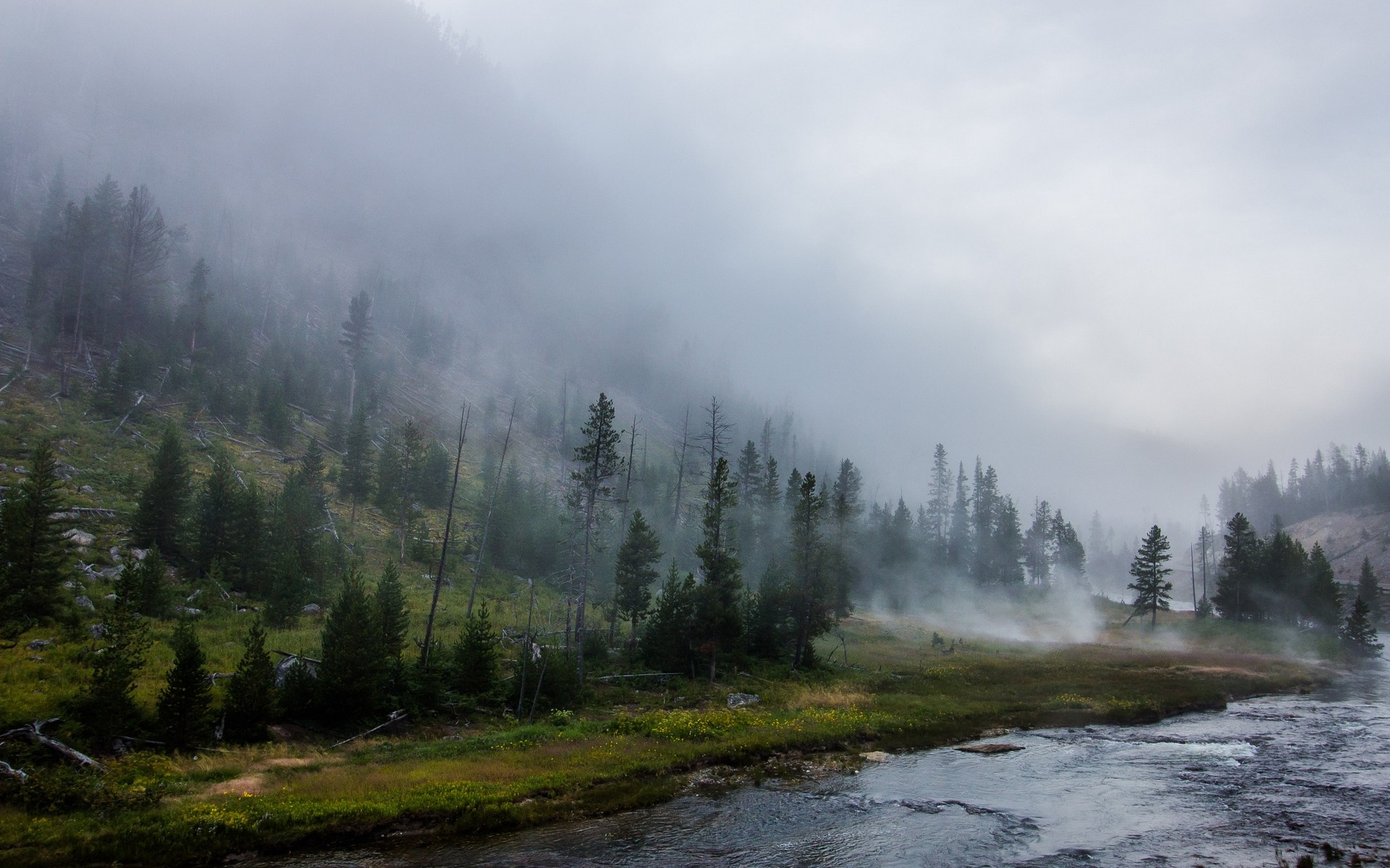 landscape, Nature, Yellowstone National Park, Forest, River, Mist, Mountain, Trees, Grass Wallpaper
