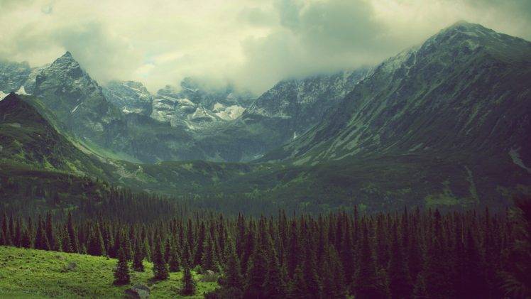 mountain, Valley, Pine Trees, Landscape HD Wallpaper Desktop Background