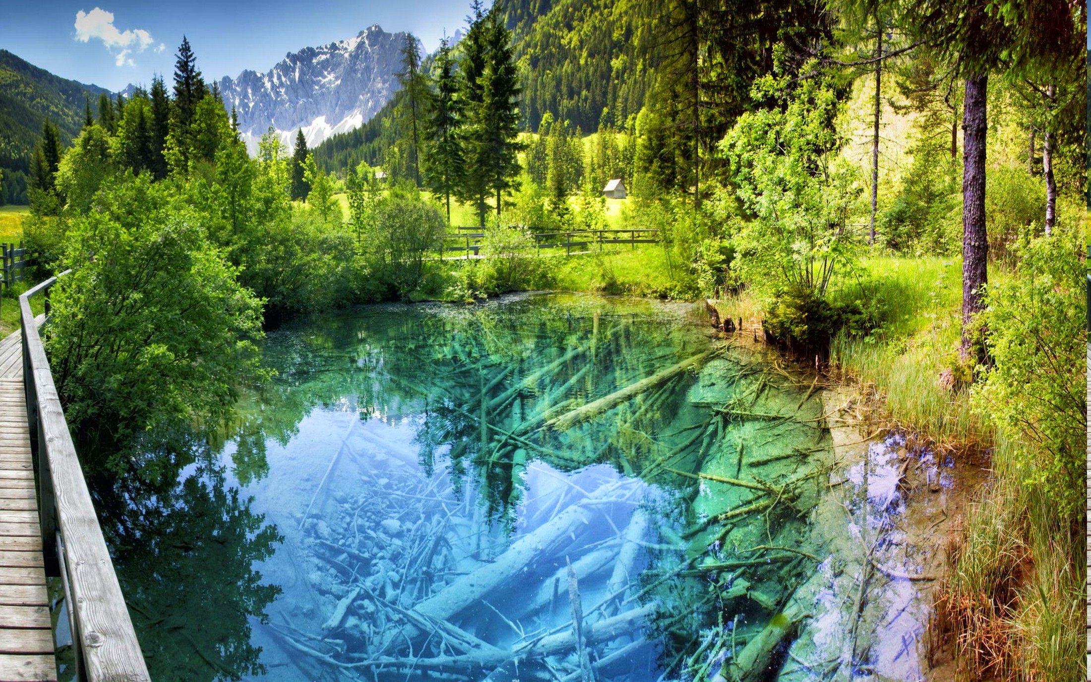 landscape, Nature, Pond, Forest, Walkway, Shrubs, Trees, Water, Turquoise, Mountain, Fence, Summer, Austria, Colorful, Europe, Snowy Peak, Reflection Wallpaper