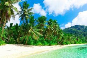 nature, Landscape, Beach, Sea, Sand, Palm Trees, Clouds, Hill, Tropical, Holiday