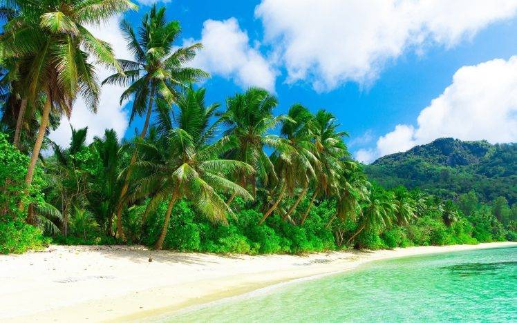 nature, Landscape, Beach, Sea, Sand, Palm Trees, Clouds, Hill, Tropical, Holiday HD Wallpaper Desktop Background