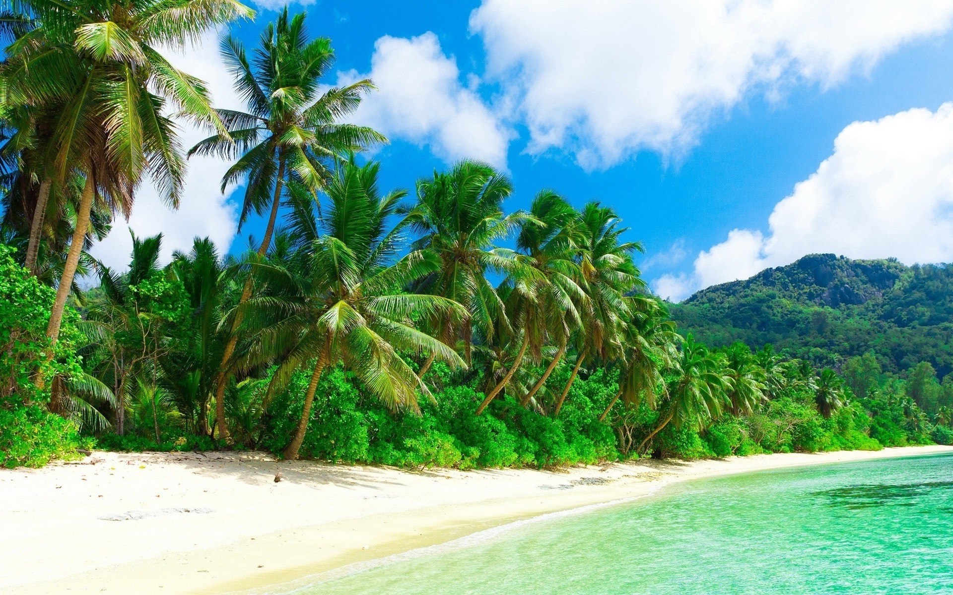 nature, Landscape, Beach, Sea, Sand, Palm Trees, Clouds, Hill, Tropical, Holiday Wallpaper