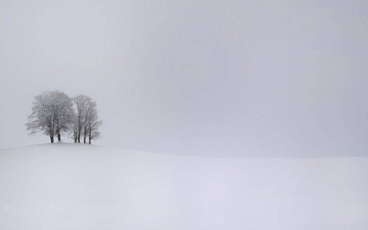 nature, Landscape, Trees, Snow, Winter, Branch, White, Monochrome, Hill, Simple, Overcast HD Wallpaper Desktop Background