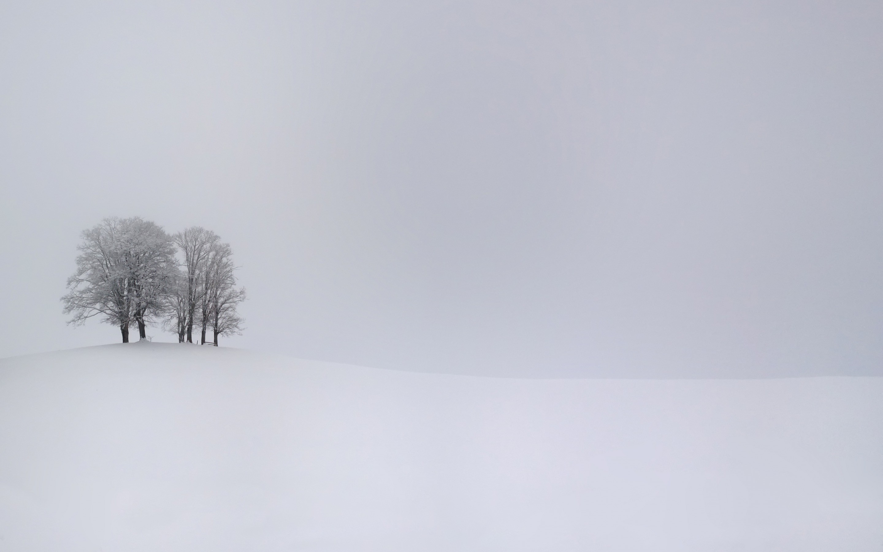 nature, Landscape, Trees, Snow, Winter, Branch, White, Monochrome, Hill, Simple, Overcast Wallpaper
