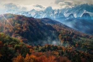 nature, Landscape, Mountain, Forest, Fall, Mist, Trees, Alps, Snowy Peak, Clouds, Sun Rays, Morning