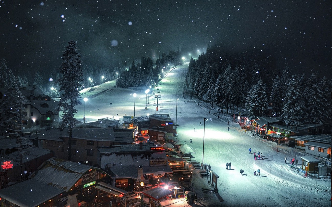 nature, Landscape, Snow, Forest, Village, Lights, Night, Cold Wallpapers HD / Desktop and Mobile