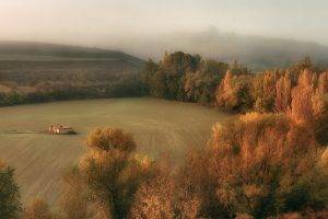 nature, Landscape, Trees, Field, Forest, Fall, Hill, House, Mist, Leaves, Bird’s Eye View, Ruin