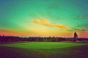 golf, Landscape, Green