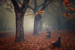 nature, Landscape, Fall, Bench, Leaves, Mist, Park, Morning, Trees, Atmosphere, Empty, Calm, Path