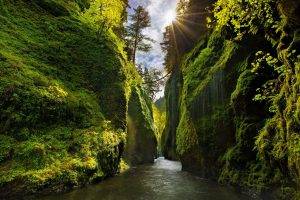 nature, Landscape, Canyon, Oregon, Green, Sun Rays, Moss, River, Trees, Shrubs, Waterfall, Valley, Sunlight, Iceland