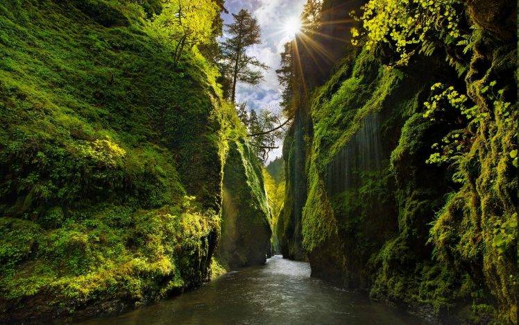 nature, Landscape, Canyon, Oregon, Green, Sun Rays, Moss, River, Trees, Shrubs, Waterfall, Valley, Sunlight, Iceland HD Wallpaper Desktop Background