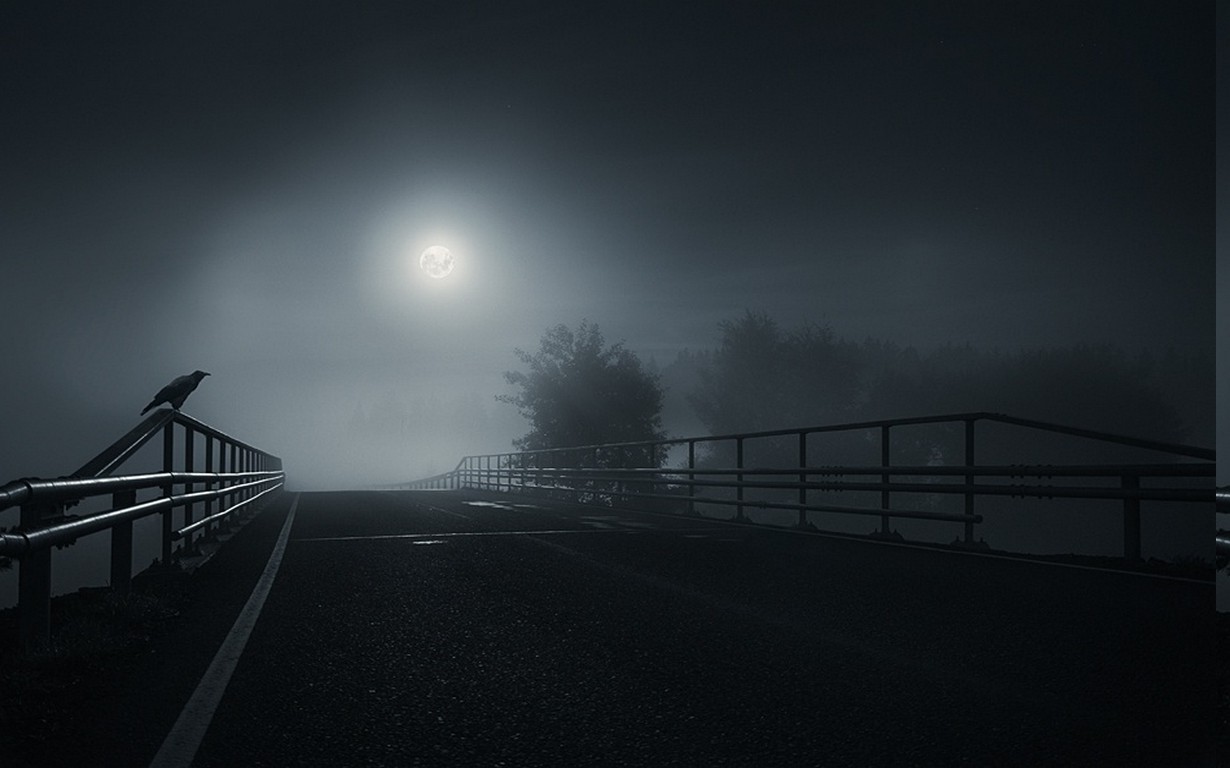 bridge, Dark, Moon, Crow, Birds, Mist, Road, Trees, Night, Nature