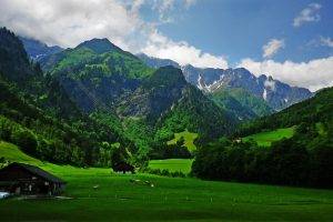 nature, Landscape, Alps, Mountain, Cabin, Grass, Spring, Cows, Clouds, Green, Forest