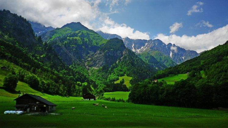 nature, Landscape, Alps, Mountain, Cabin, Grass, Spring, Cows, Clouds, Green, Forest HD Wallpaper Desktop Background