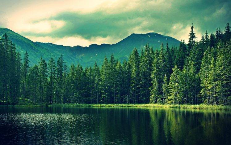 landscape, Trees, Hill, Water, Pond Wallpapers HD / Desktop and Mobile  Backgrounds
