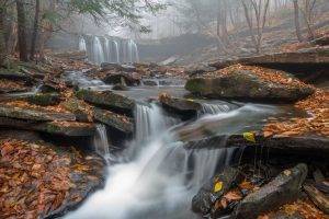morning, Mist, Waterfall, Leaves, Forest, Pennsylvania, Nature, Landscape, Fall, River, Trees