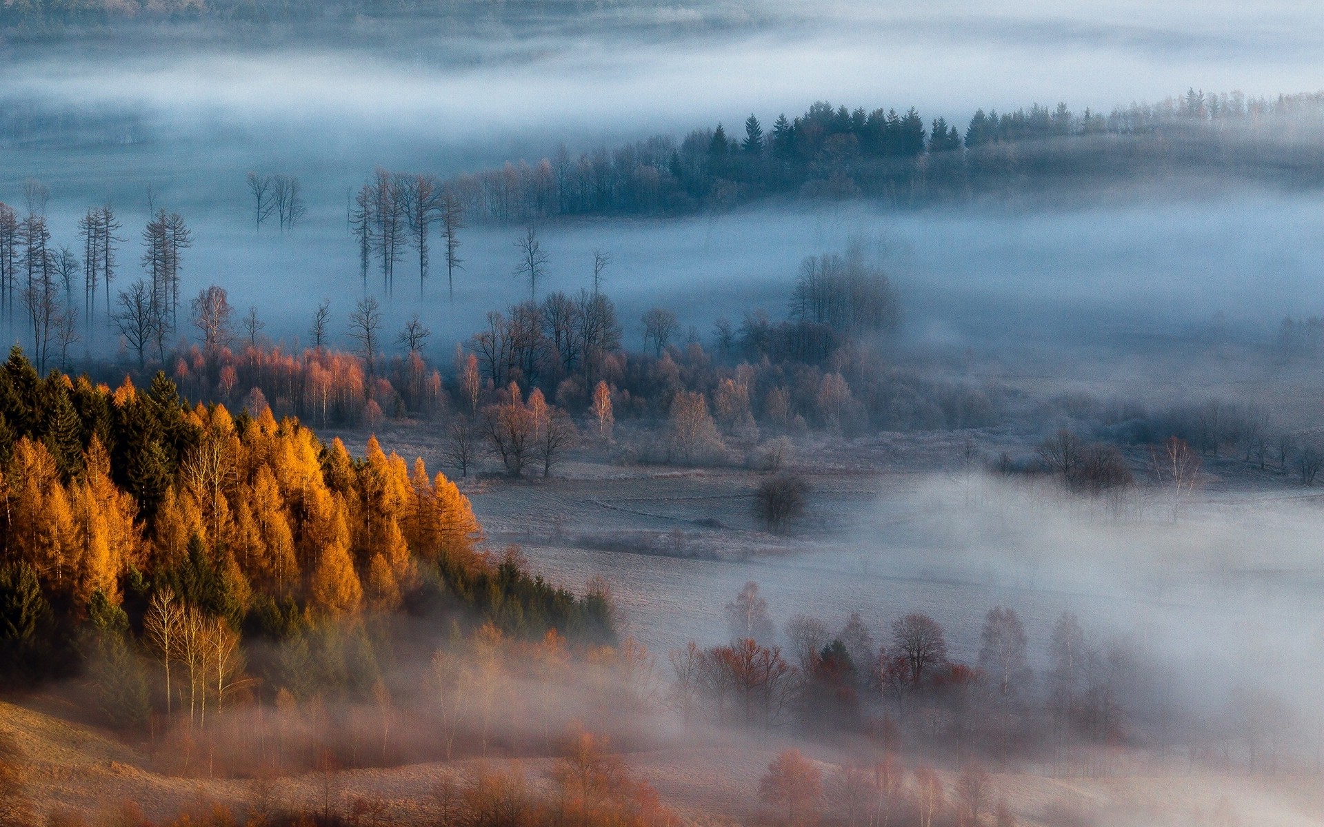 nature, Landscape, Mist, Forest, Sunrise, Fall, Trees Wallpaper