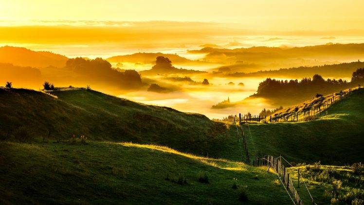 nature, Landscape, Clouds, Hill, New Zealand, Grass, Field, Fence, Mist, Trees, Forest, Sunlight HD Wallpaper Desktop Background