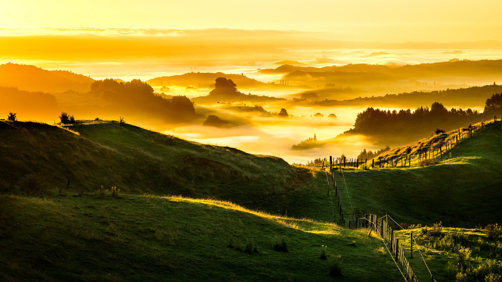 nature, Landscape, Clouds, Hill, New Zealand, Grass, Field, Fence, Mist, Trees, Forest, Sunlight Wallpaper