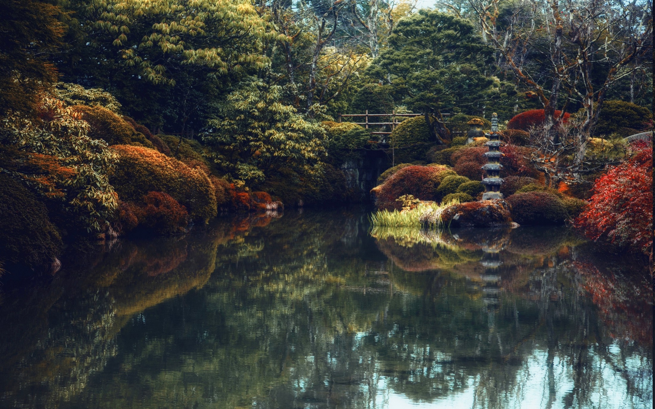 Nature Landscape Japanese Garden Trees Shrubs Bridge Pond
