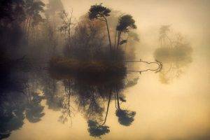 nature, Landscape, Mist, Sunrise, Lake, Trees, Water, Reflection, Shrubs, Fall, Birds, Calm, Morning