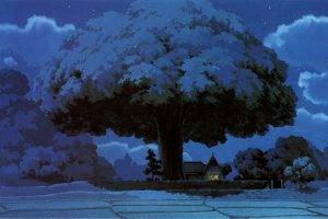 fantasy Art, Totoro, Anime, Studio Ghibli