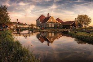 nature, Landscape, Canal, Bridge, Windmills, House, Grass, Netherlands, Trees, Clouds, Sunset, Reflection, Water, Sheep, Fence, Zaanse Schans