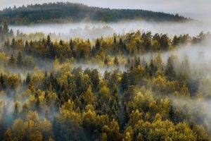 landscape, Nature, Mountain, Forest, Mist, Fall, Trees, Finland
