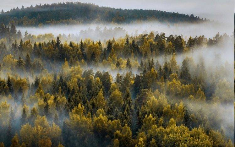 landscape, Nature, Mountain, Forest, Mist, Fall, Trees, Finland HD Wallpaper Desktop Background