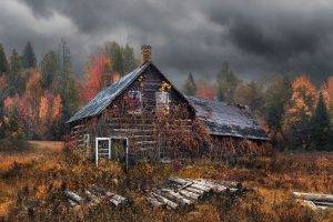 nature, Landscape, Cabin, Dry Grass, Forest, Fall, Clouds, Hansel And Gretel, Trees
