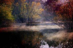 landscape, Nature, Lake, Mist, Forest, Colorful, Trees, Shrubs, Water, Reflection, Fall, Croatia