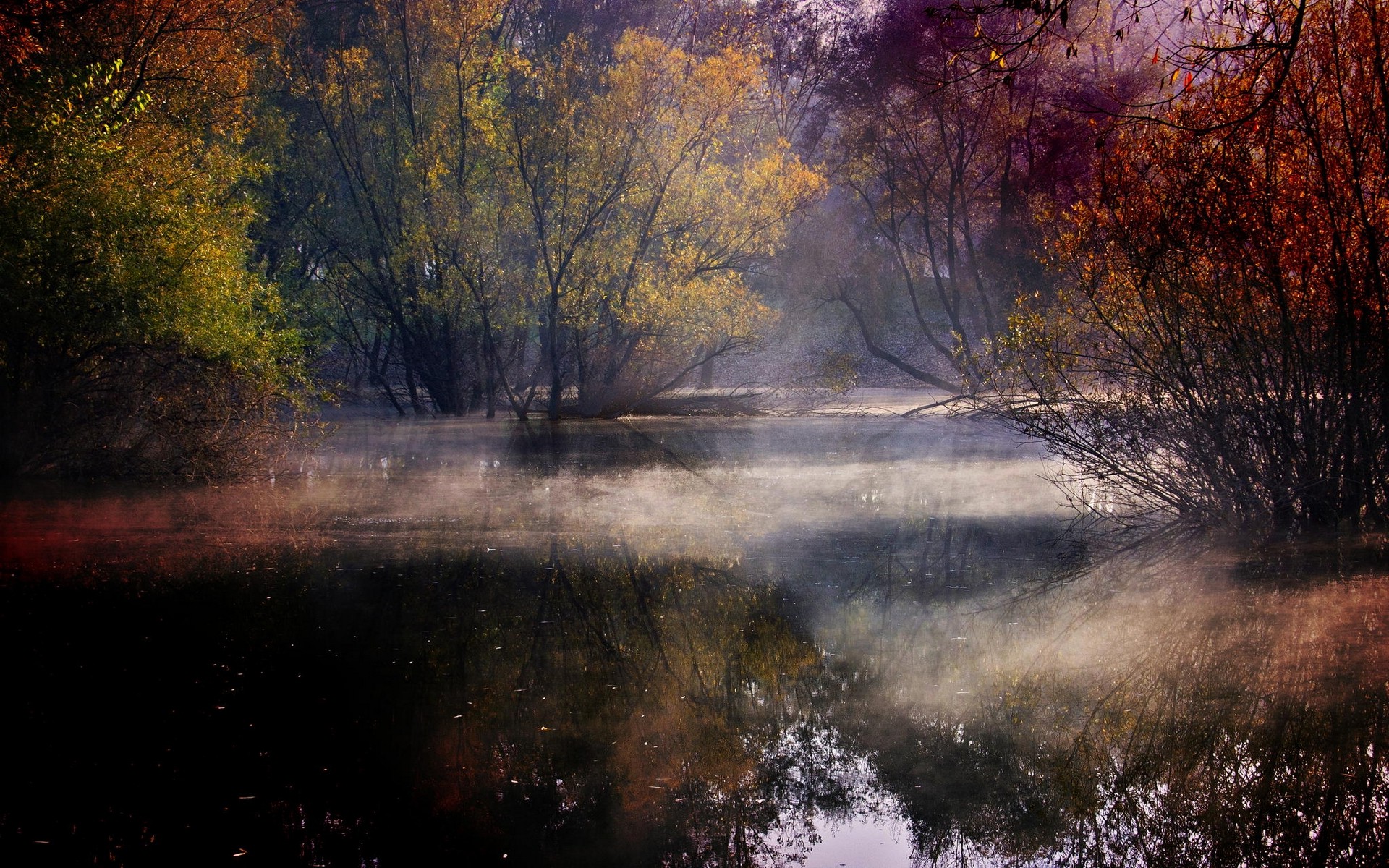 landscape, Nature, Lake, Mist, Forest, Colorful, Trees, Shrubs, Water, Reflection, Fall, Croatia Wallpaper