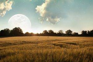 field, Landscape, Moon, Sunlight