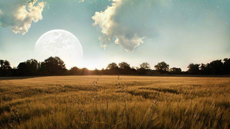 field, Landscape, Moon, Sunlight HD Wallpaper Desktop Background